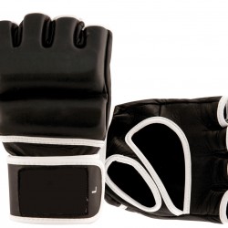 MMA Gloves