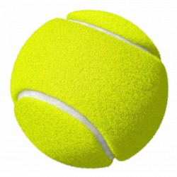 Tennis Ball