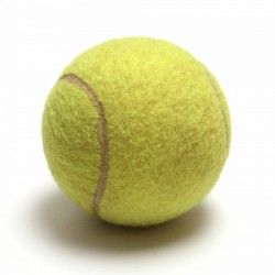 Tennis Ball