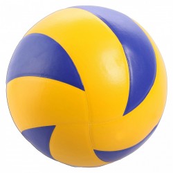 Volley Ball